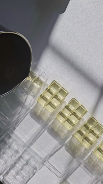 Fall Scented Soy Wax Melts